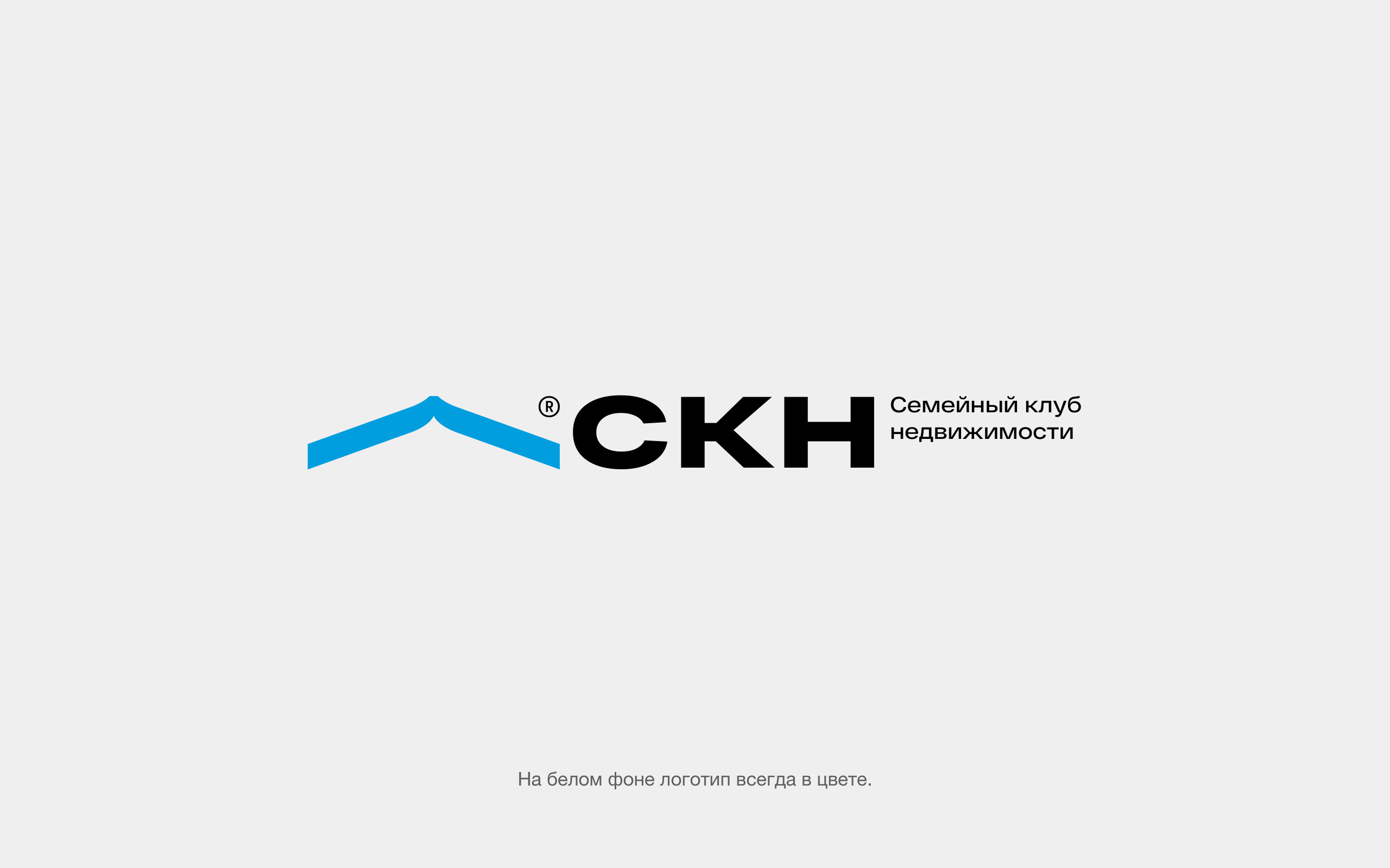 Цветной логотип на светлом фоне
